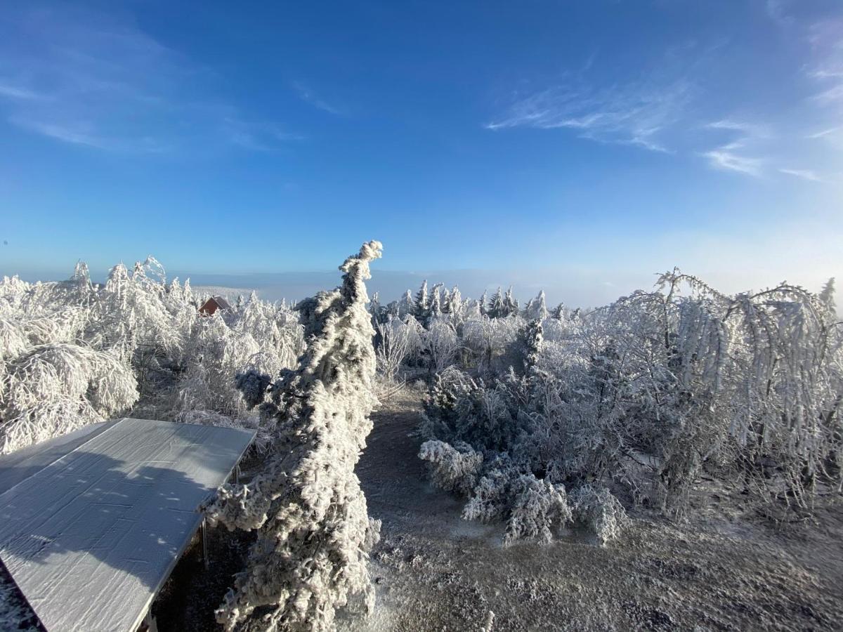 Hotel Lugsteinhof Альтенберг Экстерьер фото